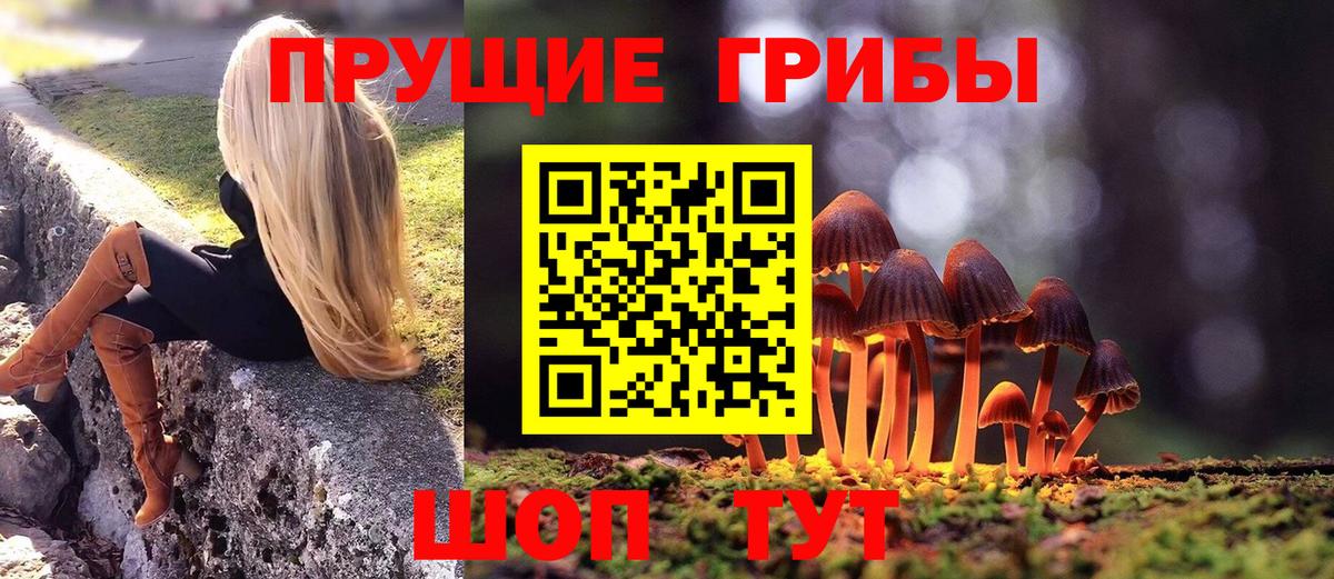 МЕТАДОН  Cocaine  Вход с VPN  Мефедрон кристаллы  ГАШИШ  Экстази  Alpha PVP СОЛЬ кристаллы  Северск  Каннабис 